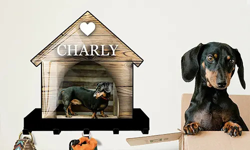 Soporte de llaves de pared de galería con diseño de casa de gato y perro 3