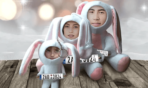 Car Photo Stuff Toy Bunny