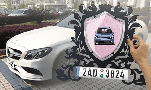 metallschild gestalten schwarz gepulvert mit Rosa Schlangenleder Hintergrund in der Hand personalisiertes metallschild