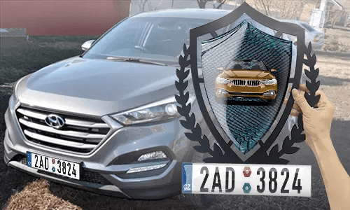 metallschild gestalten schwarz gepulvert mit Blaues Schlangenleder Hintergrund in der Hand accessoire garage